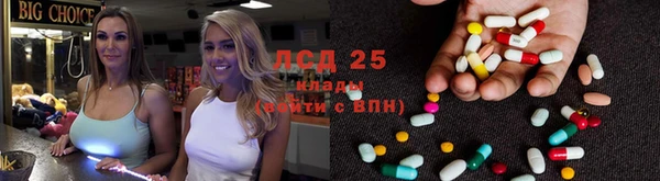 крисы Коряжма