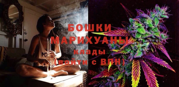 крисы Коряжма