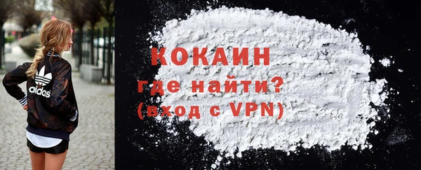 крисы Коряжма