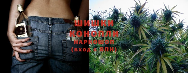 крисы Коряжма