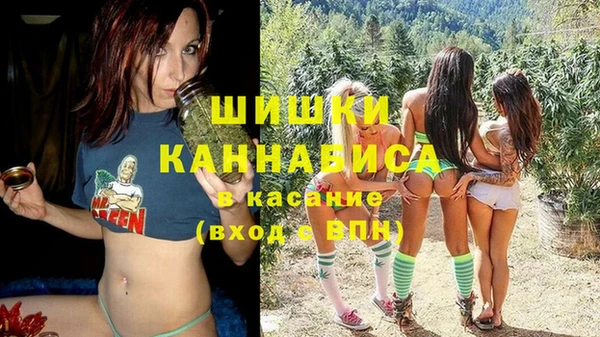 гашик Костерёво