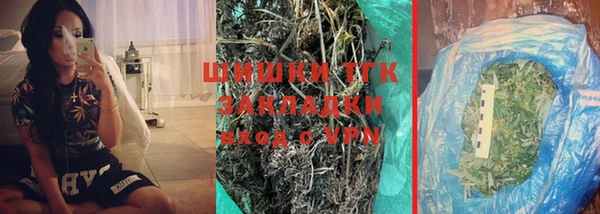 крисы Коряжма