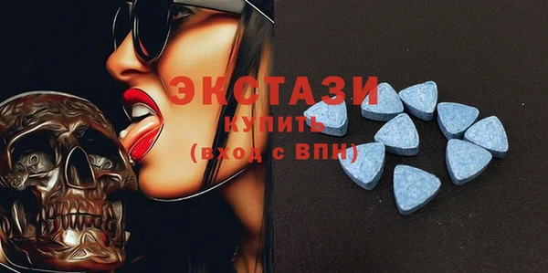 крисы Коряжма