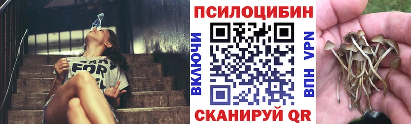 мега как зайти  Кулебаки  Псилоцибиновые грибы Magic Shrooms  цены  