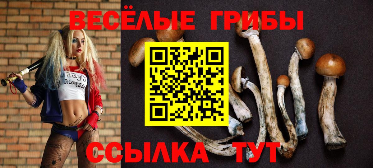 Псилоцибиновые грибы ЛСД Кулебаки